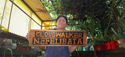 Cloud Walker, Nefelibata: A House Built Out of Nothing