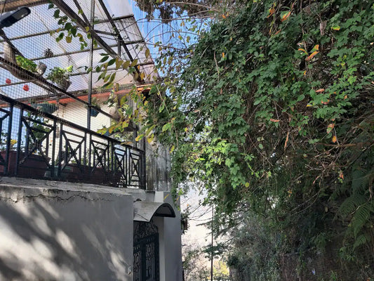 Office square box to the mountains: Stuti, the one who shattered the glass ceiling